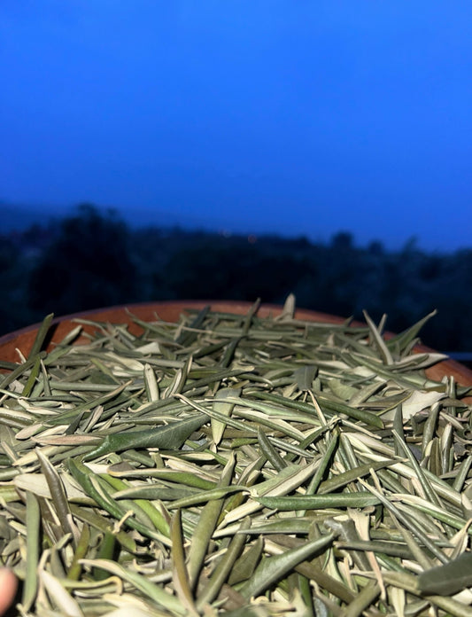 Dried Olive Leaf